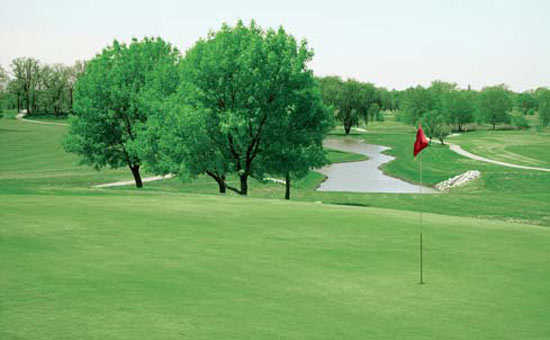 Timber Ridge