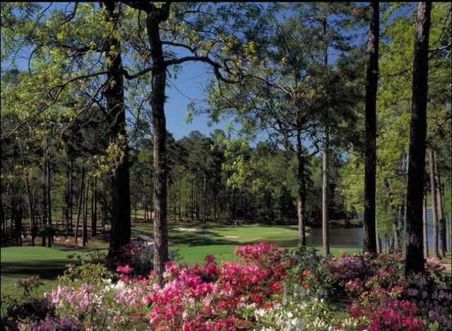 Blaketree National Golf Club - photo 2