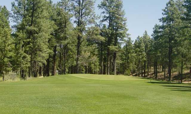 Bison Golf Club - photo 2