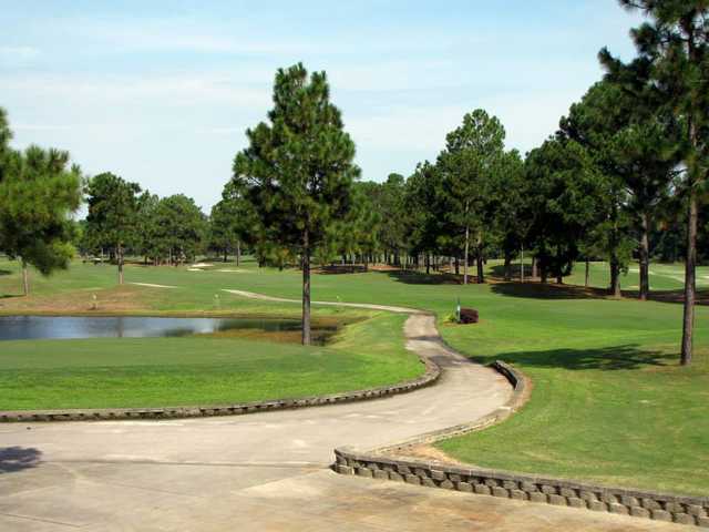 Vineyard Golf - photo 2