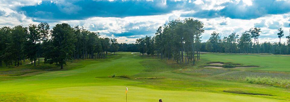 Treetops Resort - Tradition Course - photo 3