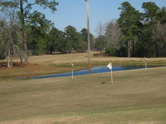 Pineland - photo 1