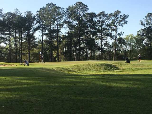 Moody Quiet Pines Golf Course - photo 2