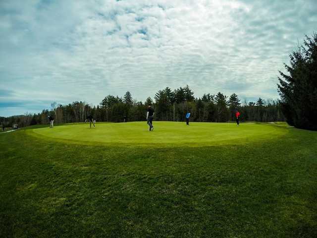 Innisbrook Golf Course - photo 2