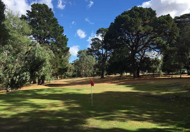 Studley Greens - photo 3