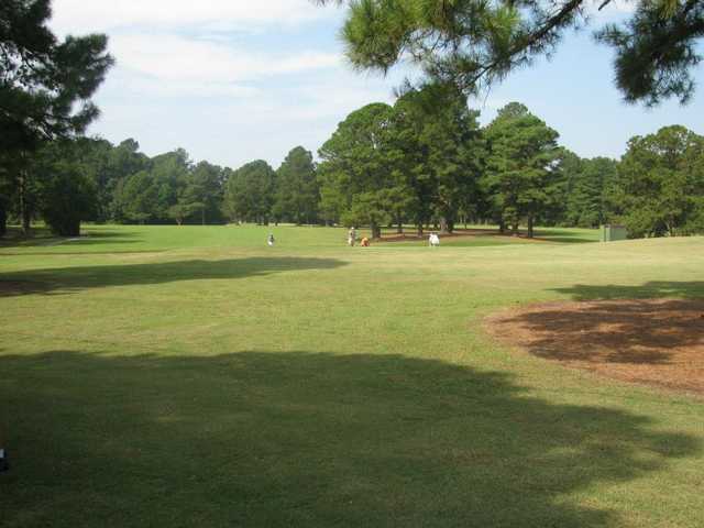 Pine Burr Golf
