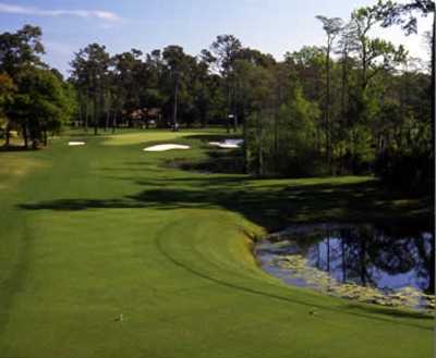 Surf Golf & Beach Club - photo 3