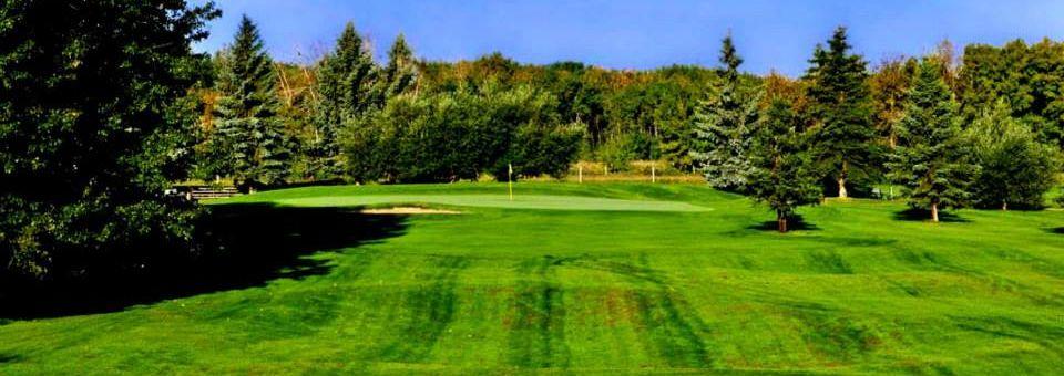 Cardiff Golf & Country Club - photo 4