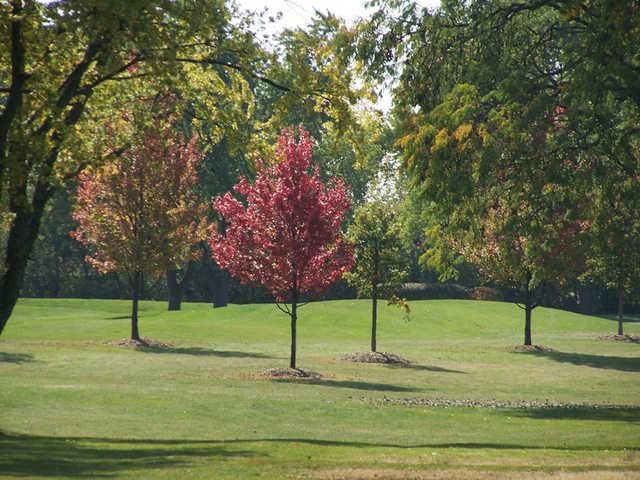 Bloomingdale Golf Club - photo 7