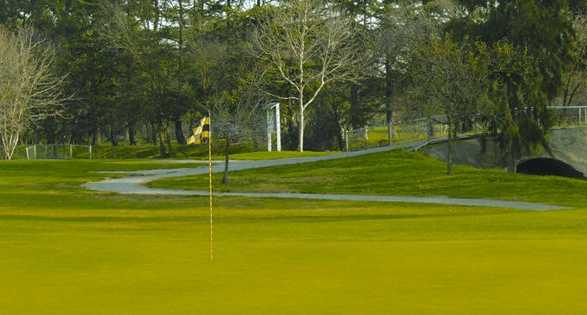 Bing Maloney Golf Course - photo 3