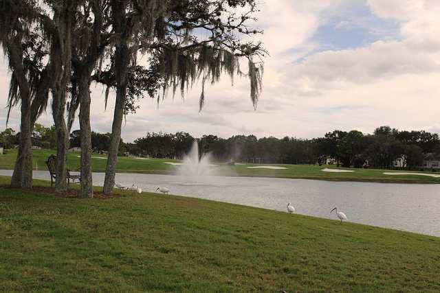 Timber Pines Golf Course - photo 3