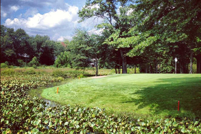 The Moors Golf Club - photo 6