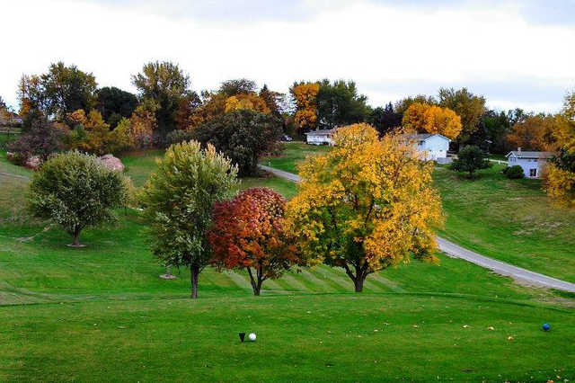 Oakland Acres - photo 6