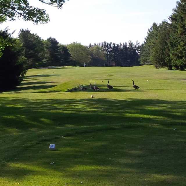 Ingersoll Golf Club - photo 3