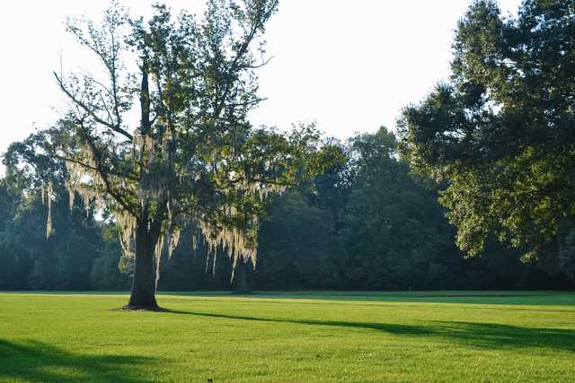 The Pines at North Park - photo 6