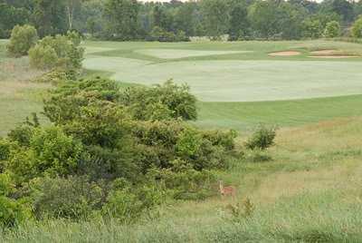 Quail Ridge Golf Club - photo 6