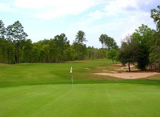 Oriole Golf Club - photo 4