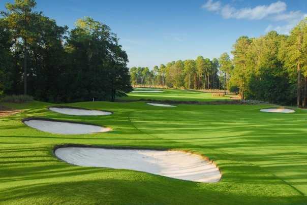 Wild Wing Plantation - Hummingbird Course - photo 2