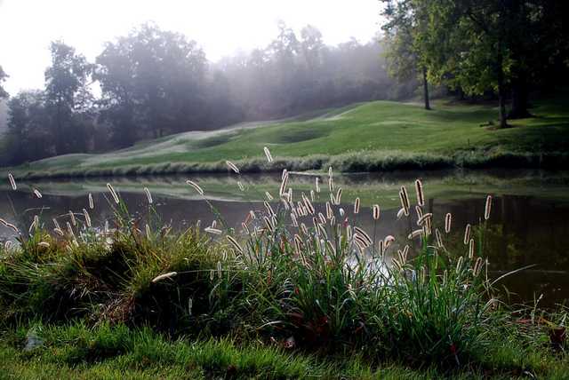 Country Hills Golf Course - photo 2