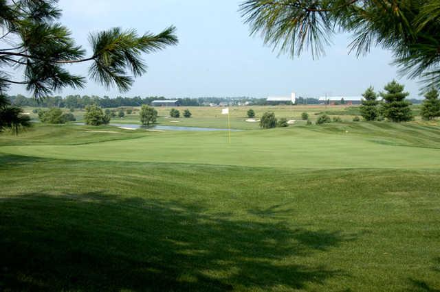 Houston Oaks