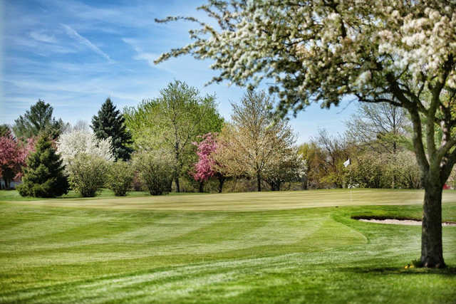 Mattoon Golf & Country Club - photo 2