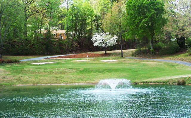 Palmetto Hills Golf Club - photo 3