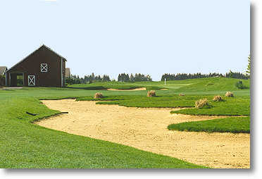 Langdon Farm - photo 5
