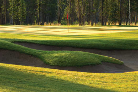 Coyote Creek Golf & RV Resort - photo 6