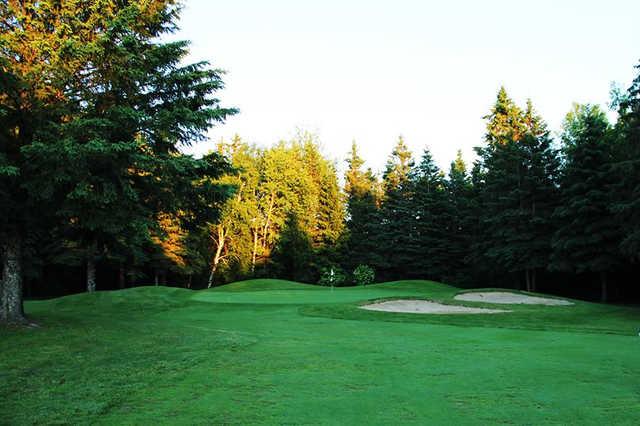 Thunderbird Golf - photo 4