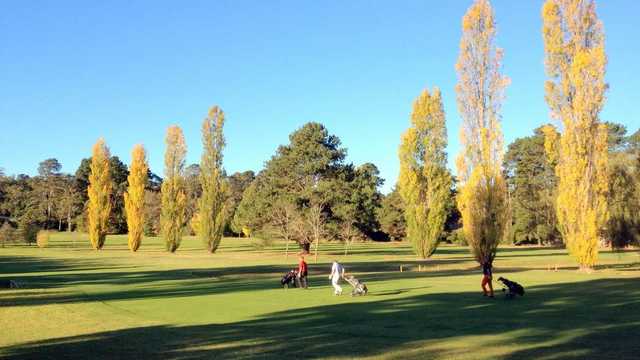 Bowral Golf Club - photo 7