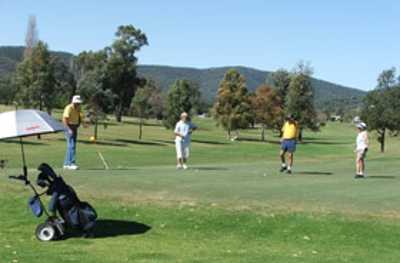 Bingara Sporting Club - photo 2