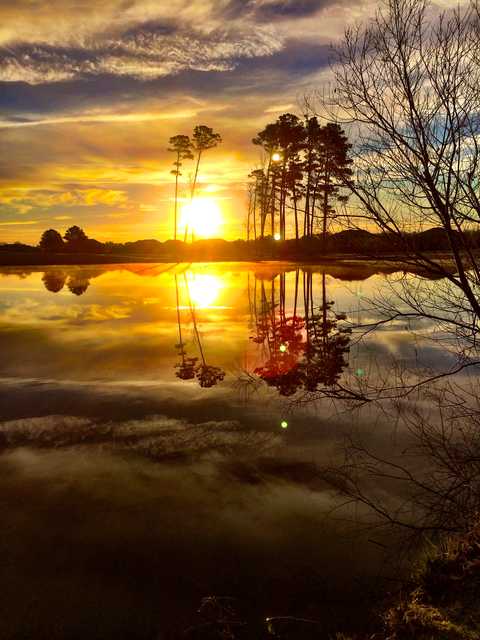 Heron Ridge