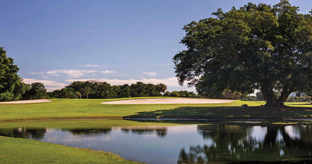 Longboat Key Club - photo 7