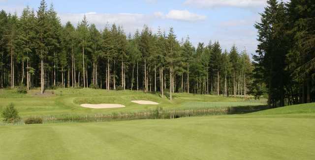 Remedy Oak Golf Club - photo 2