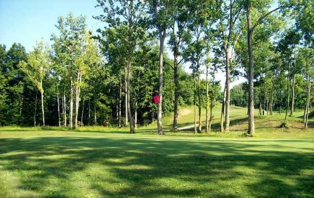 Country Side Golf Club - photo 2