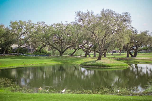 Silver Oaks 1 - photo 3