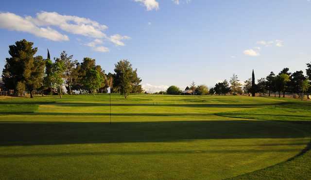 Green Tree Golf Course - photo 4