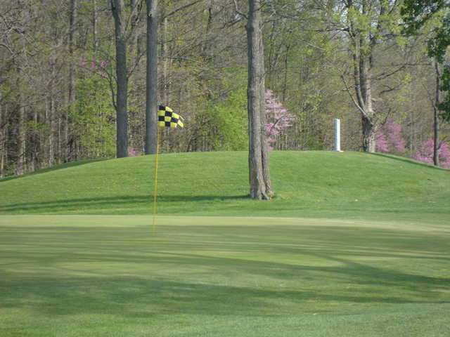 Hickory Hills - photo 1