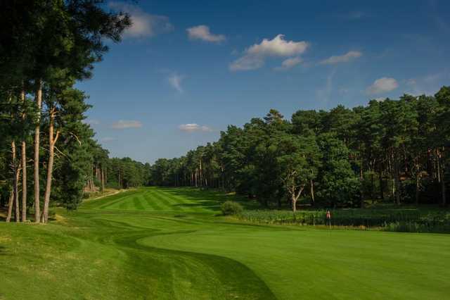 Pine Ridge Golf Club - photo 5
