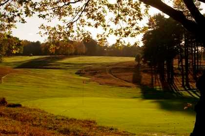 Royal Ashdown Forest Golf Club - photo 3