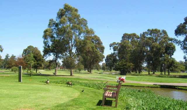 Corica Park - North Course - photo 3