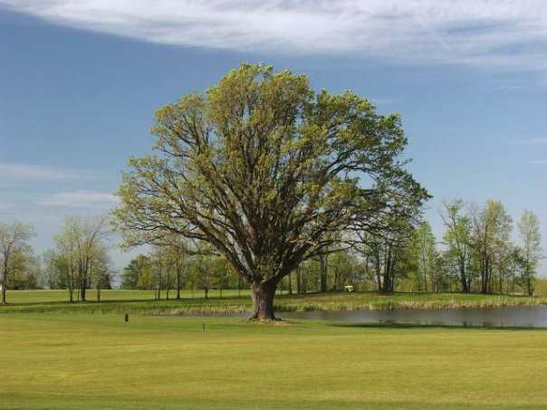 Lima Golf & CC - Island Oaks - photo 2