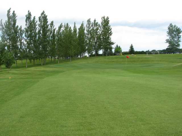 Tipsinah Mounds Golf Course - photo 1