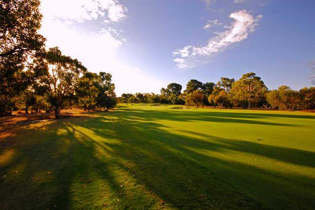 Mount Lawley Golf Club - photo 3