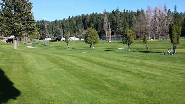 Ponderosa Springs - photo 2
