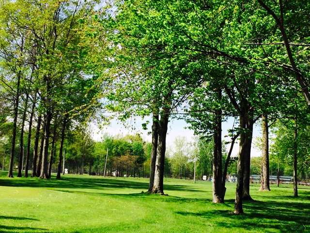 Maple Grove Golf Course - photo 2