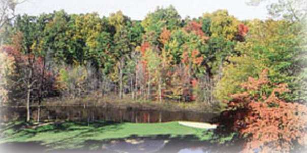 Lake Doster Golf Club - photo 2