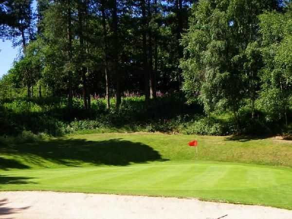 The Staffordshire Golf Club - photo 6