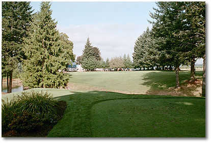Springwater Golf Course - photo 6