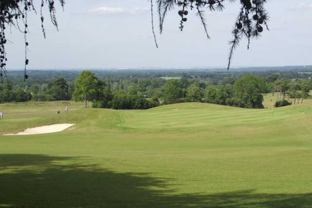 Clandon Golf Course - photo 4